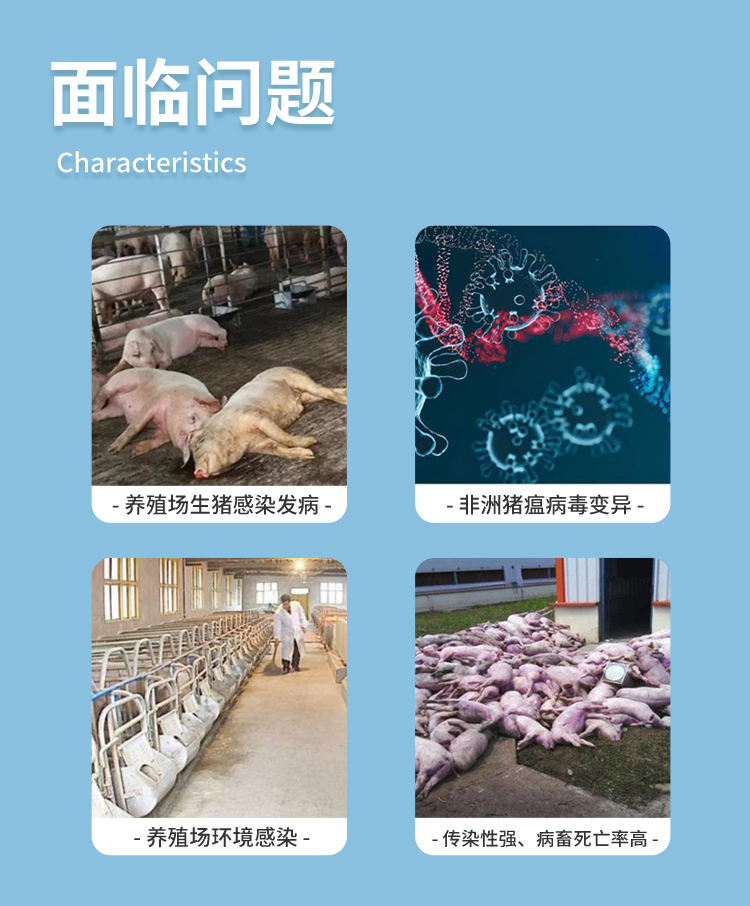 ·ÇÖÞÖíÎÁ¼ì²âÒÇ ·ÇÖÞÖíÎÁ¼ì²âÒÇ